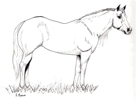 Click on the coloring page to open in a new window and print. Quarter Horse Coloring Pages at GetColorings.com | Free ...
