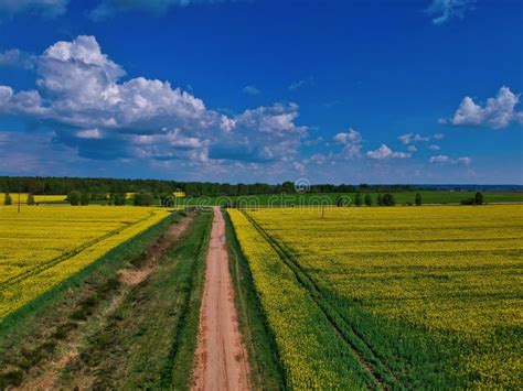 3879 Beautiful Landscape Belarus Countryside Stock Photos Free