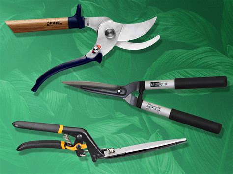 Best Garden Shears And Secateurs For Trimming Grass Hedges And Pruning