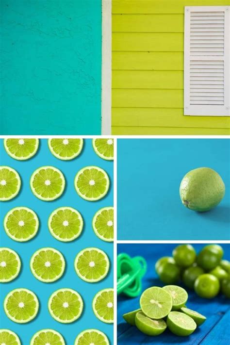 These 7 Colors That Go With Lime Green Show Off The Versatility Of Lime