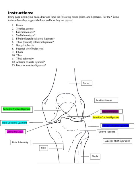 Knee Labeling 2 Knee Diagram And Some Questions Instructions Using