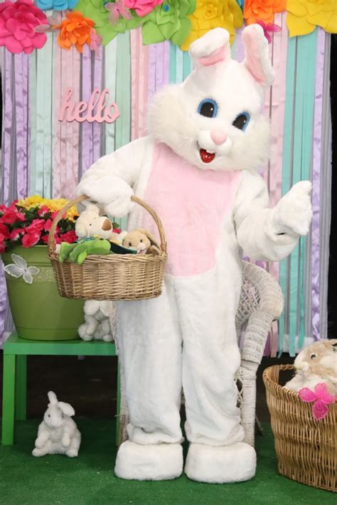 Hire Easter Bunny Oc And La Easter Bunny In Orange County California