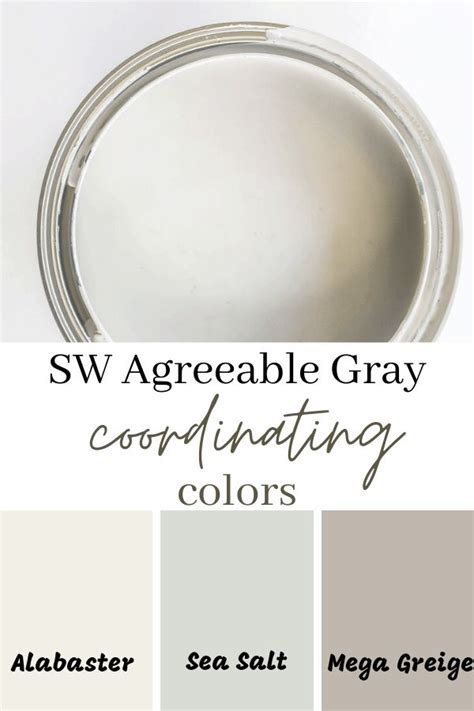 Sherwin Williams Agreeable Gray Why Its So Popular In 2021 Paint