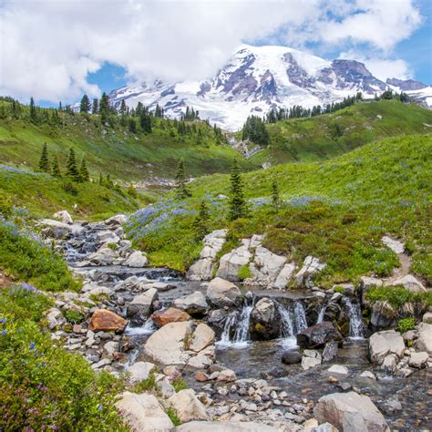 7 Best Hikes In Mount Rainier National Park Travelawaits