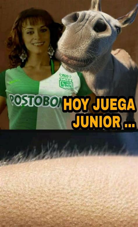 Memes de la victoria de colombia a venezuela en eliminatorias. Junior vs nacional | Memes, Futbol colombiano, Colombianas