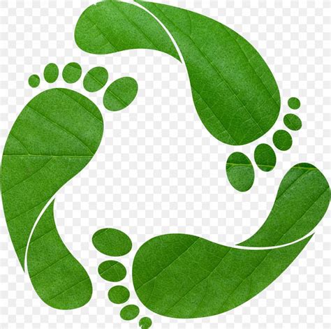 Earth Overshoot Day Ecological Footprint Carbon Footprint Ecology Clip