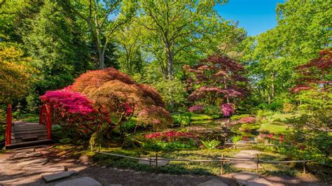 How To Create A Backyard Japanese Zen Garden Wikilawn