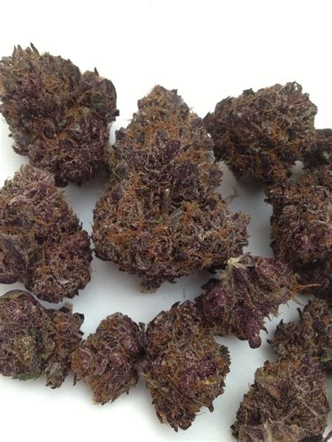 Purple Kush Indica Cds Medi Cure
