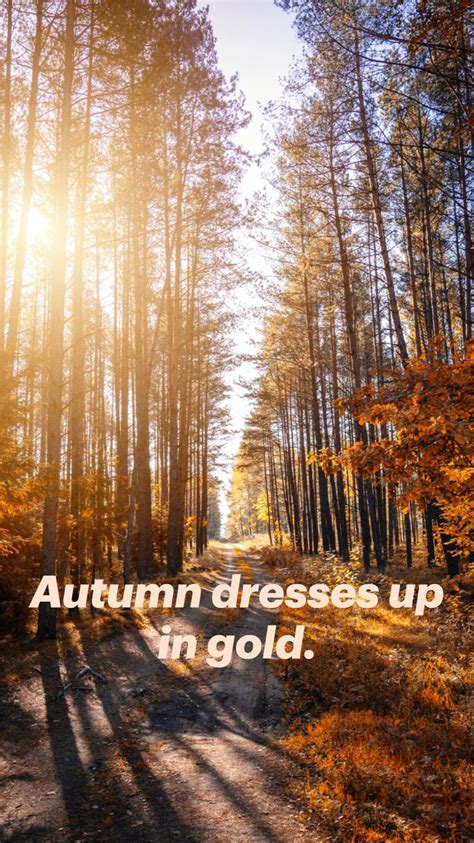 Autumn Carries More Gold In Its Pocket Than All The Other Seasons