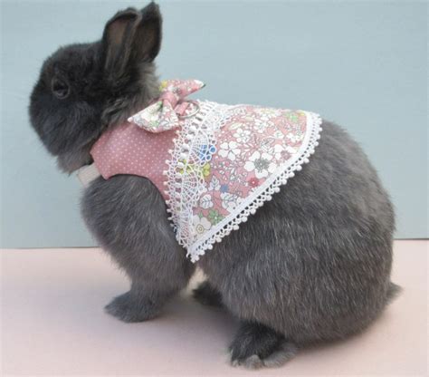 Pet Bunny Dressharness Rabbit Clothing Dwarf Holland Lop Etsy