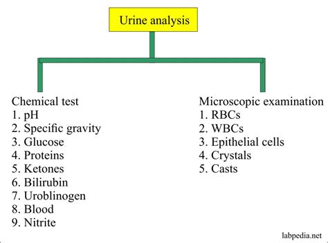 Urine Analysis Part 3 Types Of Urine Samples Preservatives And