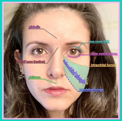 Facs Cheat Sheet Face The Facs Facial Action Coding System