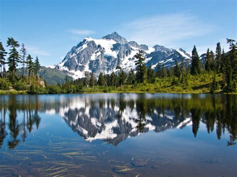 10 Best National Forests To Hike In The United States With Photos
