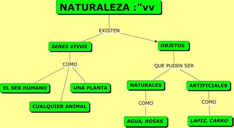 Informatica Mapa Conceptual De La Naturaleza
