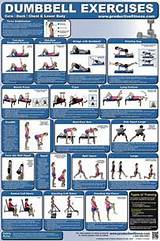 Photos of Fitness Exercises Dumbbells