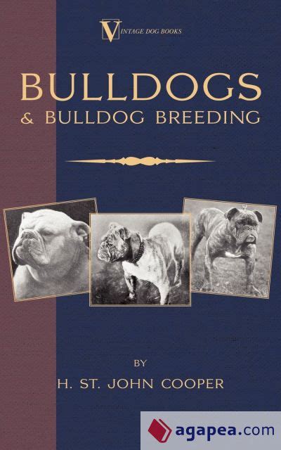 Bulldogs And Bulldog Breeding A Vintage Dog Books Breed Classic H