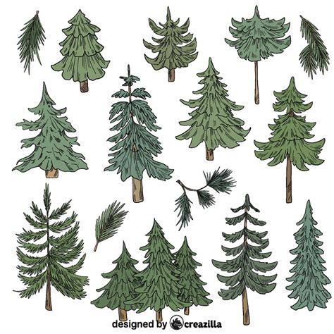 Set Of Evergreen Tree Vector Free Download Creazilla