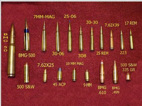 460 Vs 44 Mag ♥454 Casull Ammunition Reloading Bench
