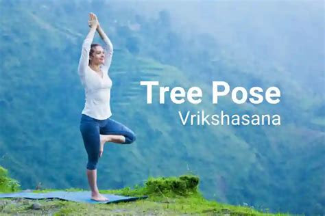 Vrikshasana Tree Pose For Stability And Balance Ganeshaspeaks