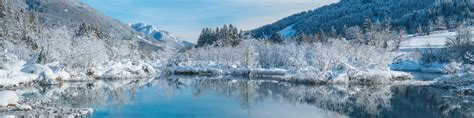 Beautiful Lake With Trees During Winter Linkedin Background Get