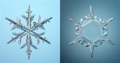 What Makes A Snowflake Special News Chemistry World