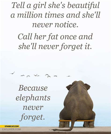 Tell Girl Shes Beautiful Never Notice Call Her Fat Never Forget It Because Elephants Never