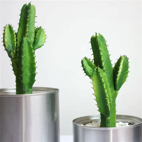 Simulation Succulents Cactus Green Plant Artificial Plants Fake Plastic