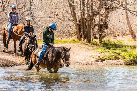Rides Archives ⋆ Sedona Horseback Rides By Trailhorse Adventures