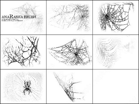 Spiders Web Brush Vectors Graphic Art Designs In Editable Ai Eps Svg