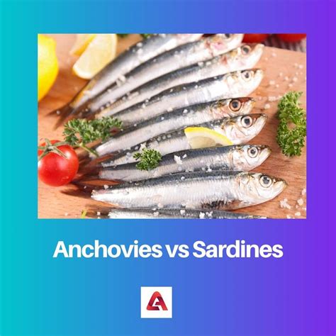 Anchovies Vs Sardines Difference And Comparison