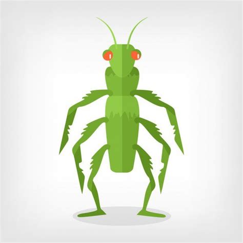 Vectores De Stock De Cartoon Grasshopper Ilustraciones De Cartoon