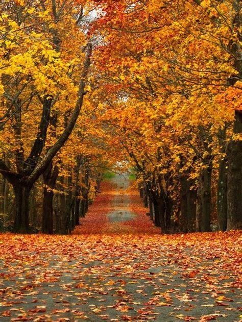 10 Unexpected Places To See Beautiful Fall Foliage This