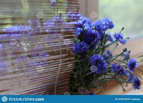 Blurred Floral Background A Bouquet Of Wild Blue Cornflowers In A Vase