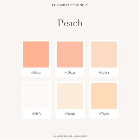 Peach Color Palettes Hex Color Palette Pastel Colour Palette Colour