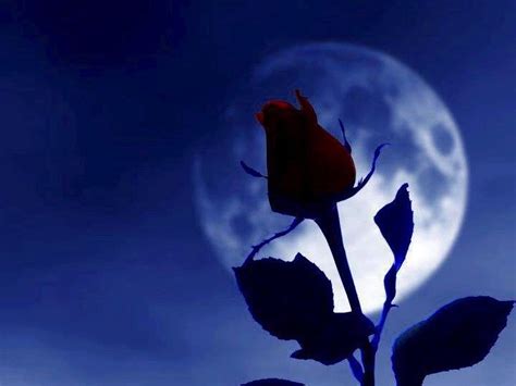 Pin By Ann Randa On Awesome Good Night Moon Beautiful Moon Night