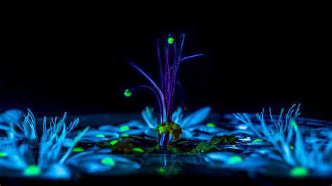 Dark Psychedelic Trippy Digital Plants Art Hd Trippy Wallpapers Hd