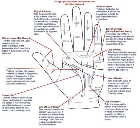 Beginners Guide To Palm Reading Wiccan Witch Etc Pinterest