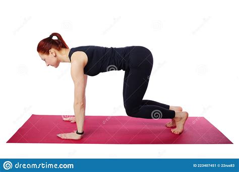 Pilates Or Yoga A Slender Athletic Girl On The Mat Performs A Stand On All Fours Exercise