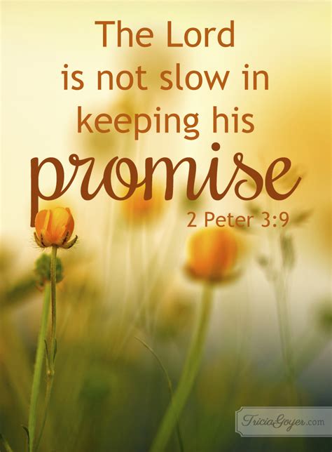 Keeping His Promise 2 Peter 39 Tricia Goyer Inspirational