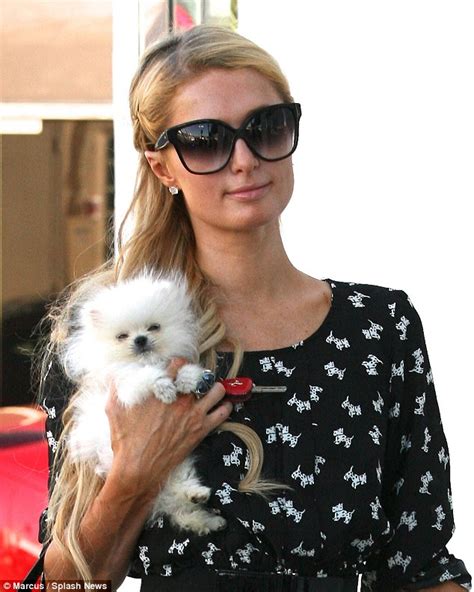 Paris Hilton Carries 100 Bills And A Picture Of Herself Around La