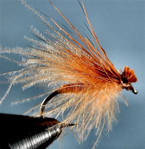 October Caddis Fly Pattern Not Just In October Swittersb And Exploring