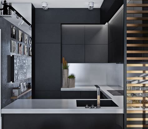 Matte Black Kitchen Cabinetry Interior Design Ideas