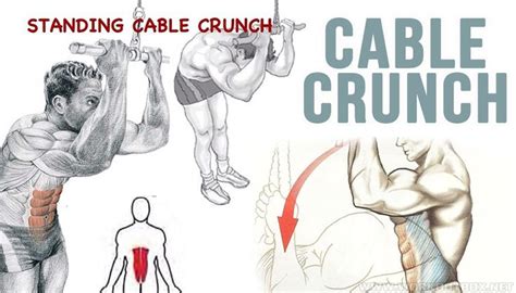 How To Standing Cable Crunch Cable Crunch Workout Guide Crunch