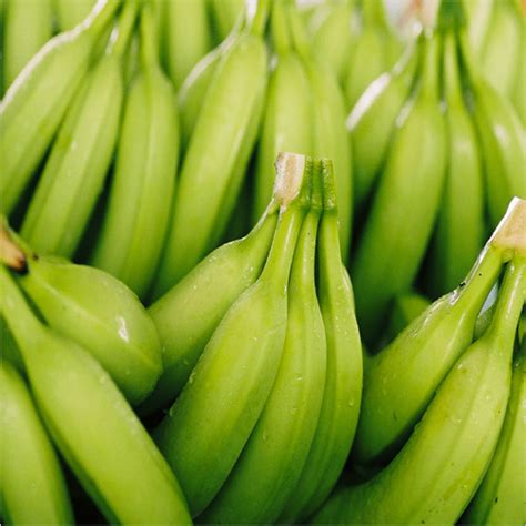 Fresh Banana At Best Price In Eluru Andhra Pradesh Suryam Exports