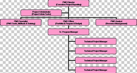 Project Management Office Organizational Chart Organizational Structure