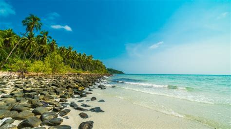 Wallpaper Turquoise Beach Palm 4k Travel Beach