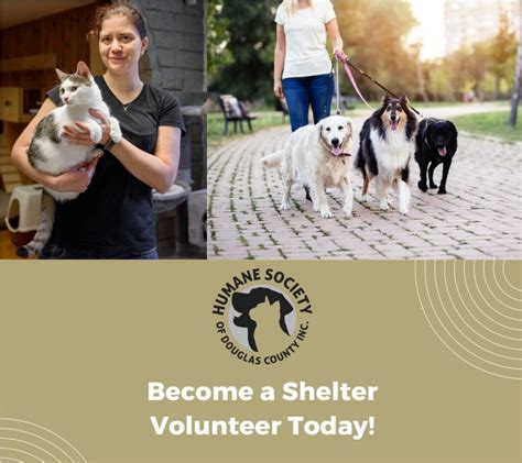 Shelter Volunteer Training Humane Society Of Douglas County