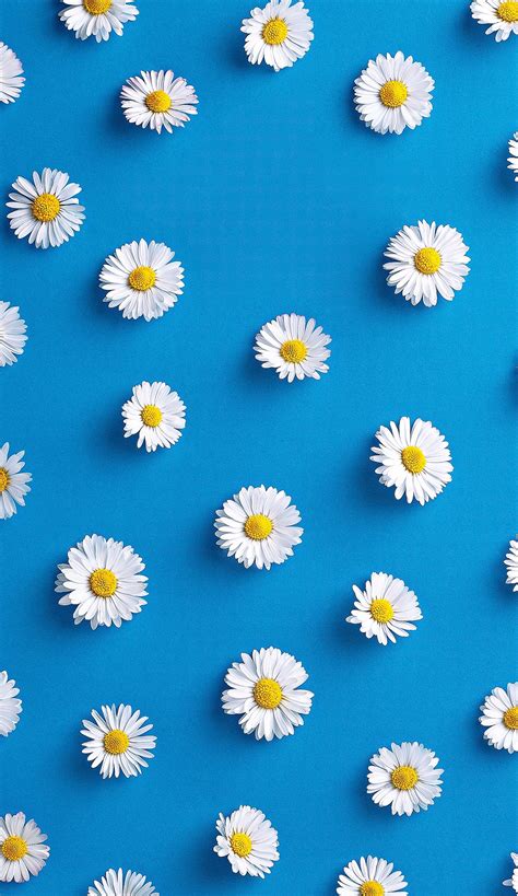 Flower Wallpaper Iphone 7 Plus Gambar Bunga
