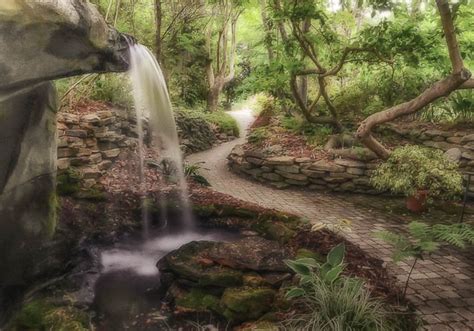Visit The Beautiful Juniper Level Botanic Garden In Raleigh North Carolina