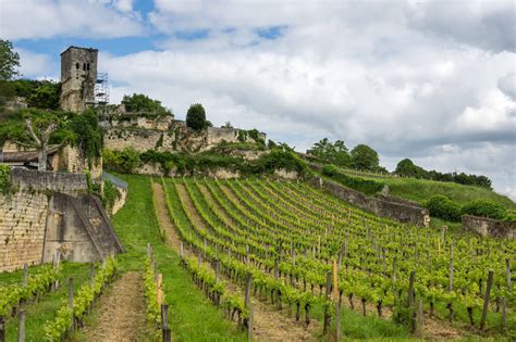 Best Wine Regions In France Map And Wine Tours France Bucket List